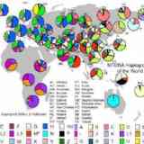 Click para ampliar. 1A Mapa Haplogrupos de ADN mitocondrial nivel mund